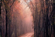 武汉老陈倾诉建材生意压力大，桑拿行情差异竟如此之大