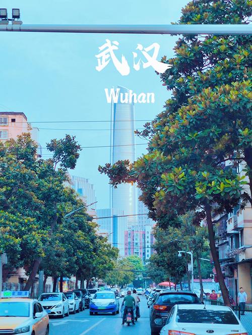 武汉夜网贴吧_武汉夜网最高性价比_武汉夜网哪里好