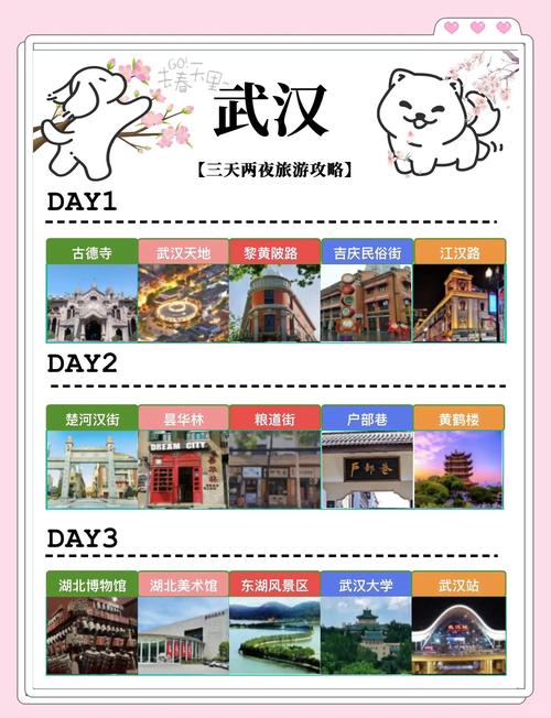 武汉夜网最高性价比_武汉夜网贴吧_武汉夜网哪里好